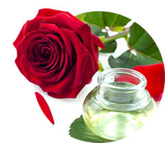 Rosenwasser 